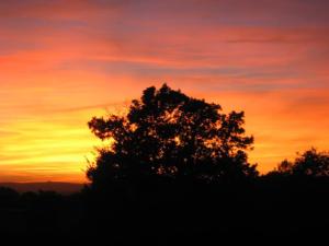 Villas Sunny Villa Retreat in Uzes : photos des chambres