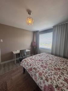 Ladies only! neat cozy room, great loc in Schiedam