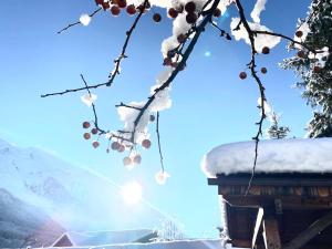 Appartements Breverly Hills overlooking spectacular Mont-Blanc : photos des chambres