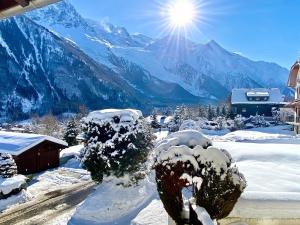 Appartements Breverly Hills overlooking spectacular Mont-Blanc : photos des chambres