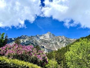 Appartements Breverly Hills overlooking spectacular Mont-Blanc : photos des chambres
