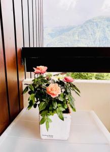 Appartements Breverly Hills overlooking spectacular Mont-Blanc : photos des chambres