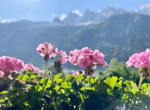 Appartements Breverly Hills overlooking spectacular Mont-Blanc : photos des chambres