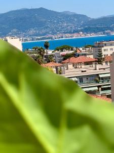 Votre grand COCON Niçois Appart Vue Mer