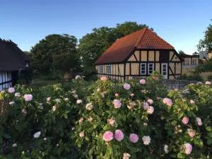 Millinge Gamle Skole - Bjerne