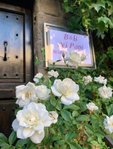 B&B dei Papi Boutique Hotel