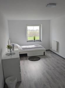 Teamwohnung modern und ländlich