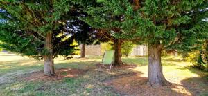 Maisons de vacances Le domaine des Roseraies, : photos des chambres