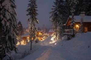 Amour de Chalet - Clairière aux cabanes - Bol dair