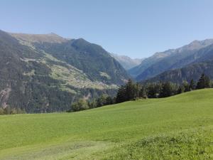 Ferienwohnung Berghof Pixner