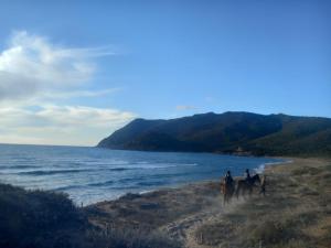 RIU b&b ALGHERO img26