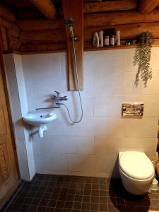 Country house with sauna