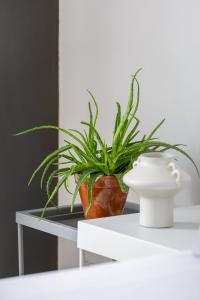 Studio apartment - Kalwaryjska 34 street