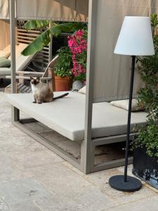 B&B / Chambres d'hotes Maison Jacotte orange : photos des chambres