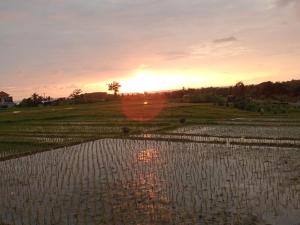 Pondok Dauh Ancak Kelating Guest House