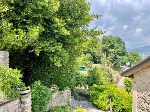 Residenza della vigna - bilocale con soppalco