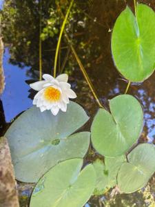 B&B / Chambres d'hotes Maison Jacotte orange : photos des chambres