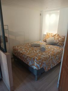 Appartements Studio cosy avec alcove et terrasse : photos des chambres