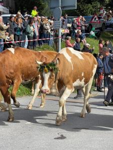 Memoret C27 à Gryon, proche de toutes les commodités