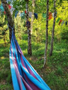 Siedlisko Ptasie Trele 2