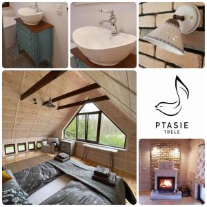 Siedlisko Ptasie Trele 2