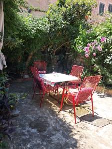 Old Town Green Oasis House