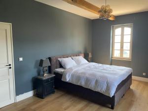 B&B / Chambres d'hotes Chateau d-Arcamont : photos des chambres
