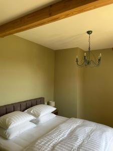 B&B / Chambres d'hotes Chateau d-Arcamont : photos des chambres