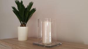Apartament Hanza