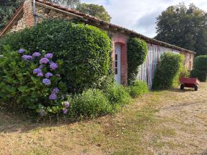 Maisons de vacances Large charming property : photos des chambres