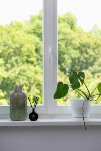 Studio apartment - 65 Długa Street