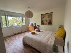 Maison quartier calme, proche plages, centre ville