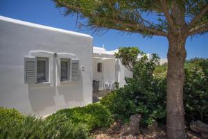 Villas Agia Irini Cove Paros Greece