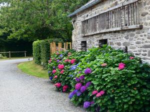 B&B / Chambres d'hotes Gite de la Cour : photos des chambres