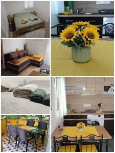 Kicsi Rigó Nyaralóház