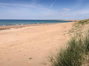 Appartements Apartment Residence Le Safran by Interhome : photos des chambres