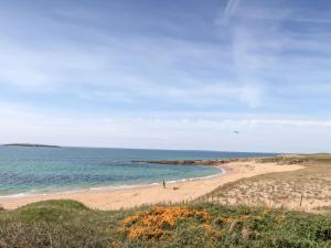 Appartements Apartment Residence Le Safran by Interhome : photos des chambres