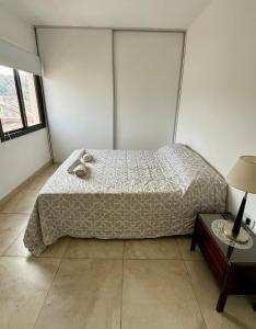 Amplio departamento céntrico