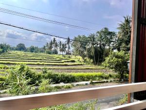 Paddy View Hostel - Ubytování bez kategorie ve městě Banyuwangi