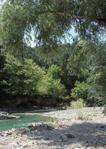Outsidersi Campsite