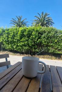 Apartamento con jardin y parking privado