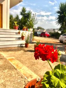 Villa Andres