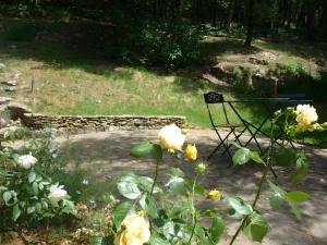B&B / Chambres d'hotes Sous le Tilleul, Chez Joelle et Guy : photos des chambres