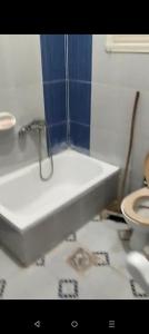 زهراء العجمي اسكندرية العجمي