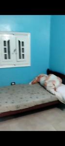 زهراء العجمي اسكندرية العجمي