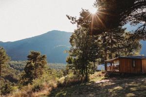 Campings Camping RCN Les Collines de Castellane : photos des chambres