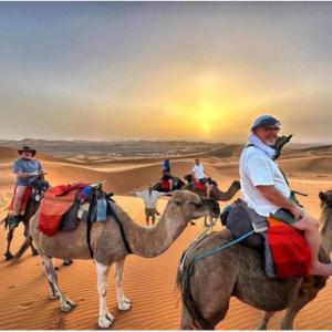 Sandar desert morocco