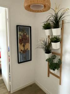 Nice house with garden near the beach