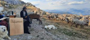 Auberges Le refuge du Mont Chiran : photos des chambres