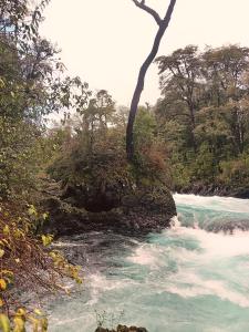 Huilo-Huilo Cabaña Huilin